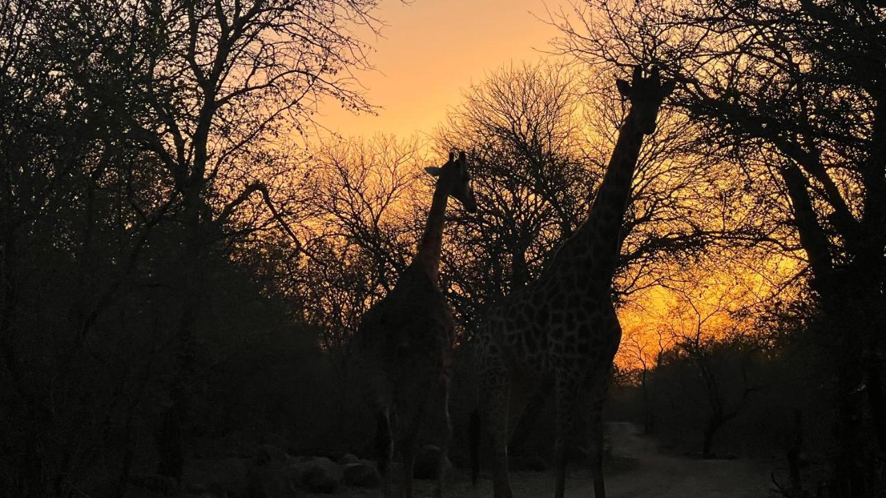 Kruger Kumba - Lahlekile Nathi Apartment Marloth Park Luaran gambar