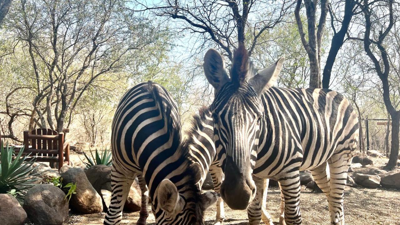 Kruger Kumba - Lahlekile Nathi Apartment Marloth Park Luaran gambar