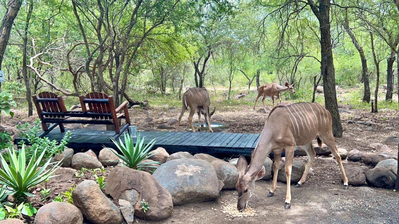 Kruger Kumba - Lahlekile Nathi Apartment Marloth Park Luaran gambar