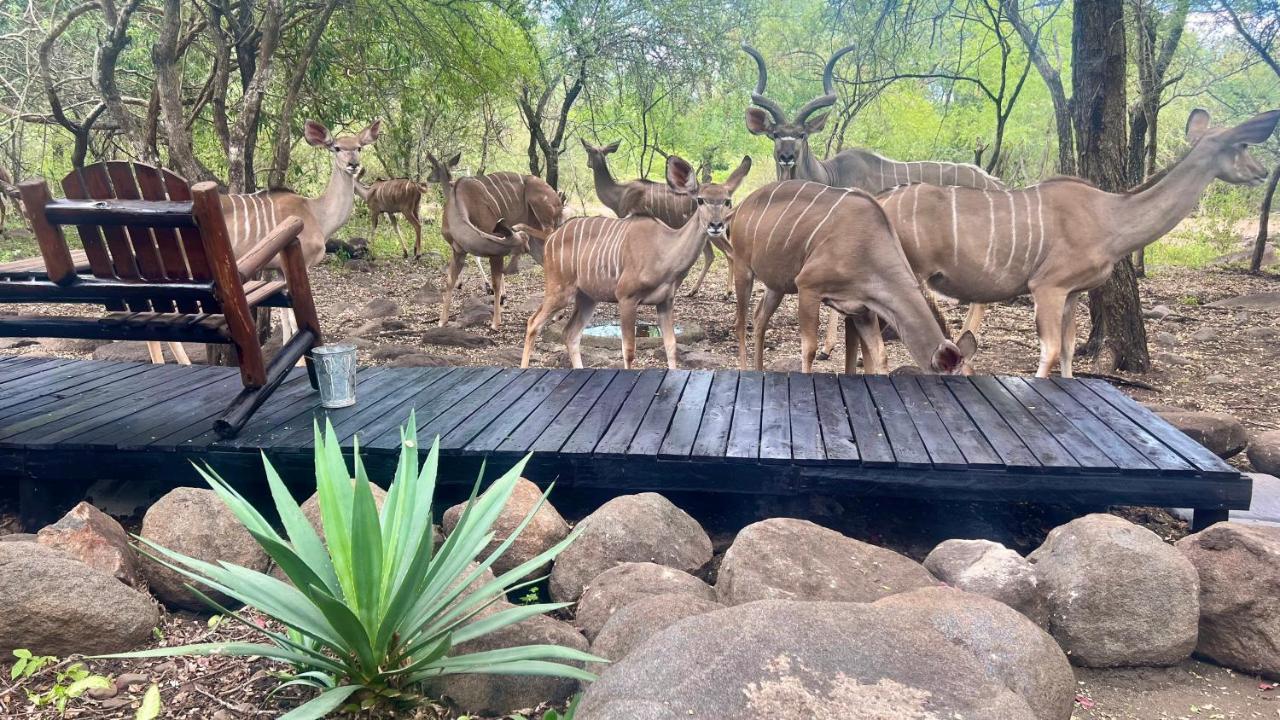Kruger Kumba - Lahlekile Nathi Apartment Marloth Park Luaran gambar