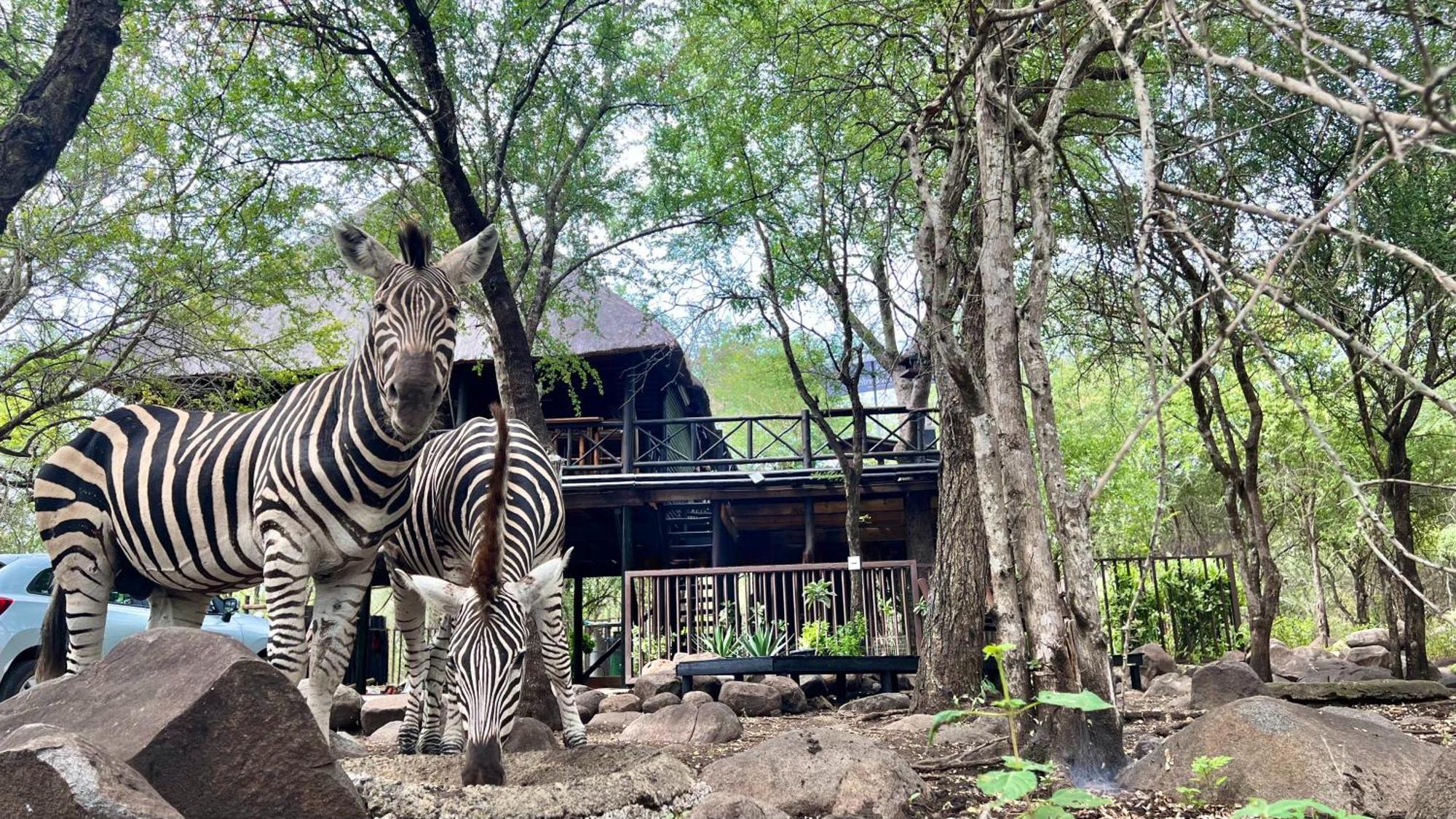 Kruger Kumba - Lahlekile Nathi Apartment Marloth Park Luaran gambar